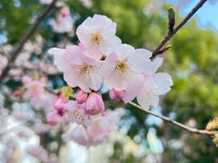 -静安雕塑公园