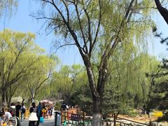 -燕郊植物园