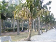 -情侣路