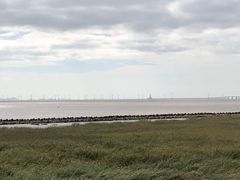 -南汇嘴观海公园