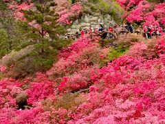 -木兰云雾山