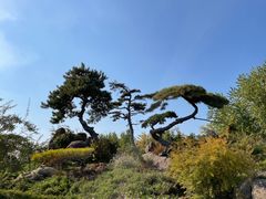 -罗红摄影艺术馆