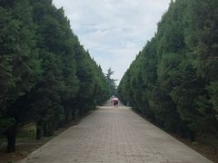 -秦始皇帝陵博物院-丽山园
