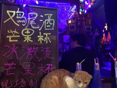 招财猫-星宿秘码(鼓浪屿老店)