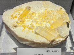 -湖南省地质博物馆