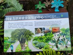 -深圳仙湖植物园