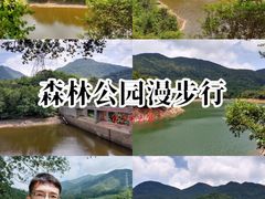 -清溪森林公园