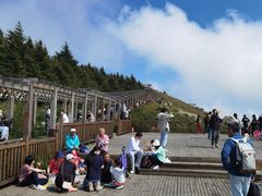 -白草畔自然风景区