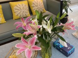 -静博士·养生养颜