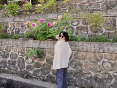 -盛世牡丹苑生态文化旅游区