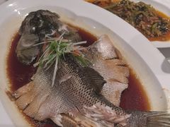 -眉州东坡(北苑华贸店)