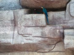 -泉州海丝野生动物世界