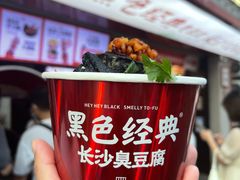 -黑色经典臭豆腐·湖南特产(坡子街店)
