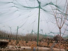 -五龙山野生动物王国