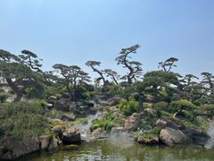 -罗红摄影艺术馆