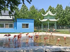 -秦皇岛野生动物园