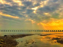 -宝安西湾红树林湿地公园