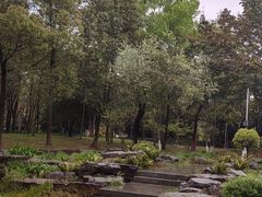 -眉山湿地公园(东坡区)