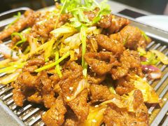 铁板烤羊肉-106餐厅北京菜.烤鸭(百子湾店)