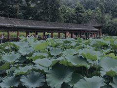 -龙头寺公园