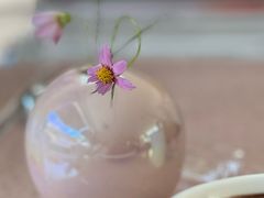 -简象咖啡CAFE ELE JANE(满陇桂雨店)