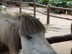 -海南热带野生动植物园