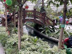 -南宫五洲植物乐园