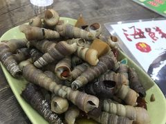 -贞姨美食·老字号海鲜大排档