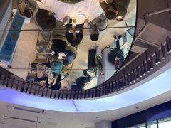 -奈雪的茶(观前街店)