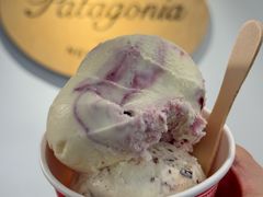 -Patagonia Chocolates(皇后镇店)
