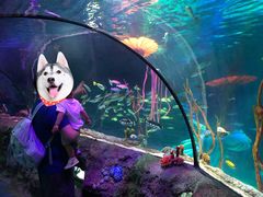 -沈阳海洋探索中心