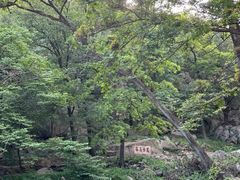 -泰山风景名胜区