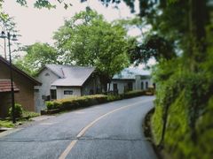 -莫干山风景区