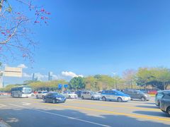 -深圳国际园林花卉博览园