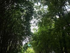 -晓港公园