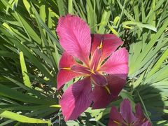 -溱湖八鲜菜馆