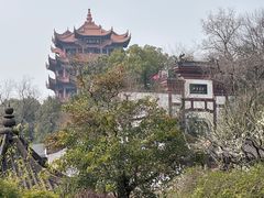 -黄鹤楼公园(黄鹤楼)