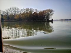 -溱湖国家湿地公园