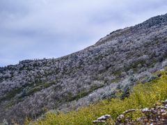 -秦岭风景区