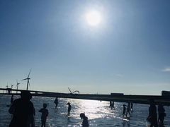 -南汇嘴观海公园