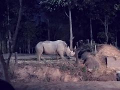 -清迈夜间动物园