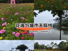 -顺峰山公园