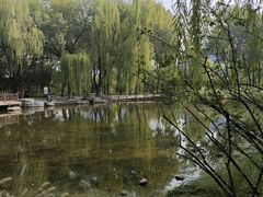 -玲珑塔公园