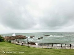 -小麦岛公园