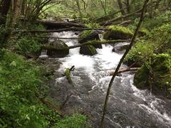 -叠溪松坪沟景区