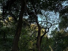 -凤凰御元艺术基地