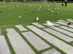 -白鹭洲公园