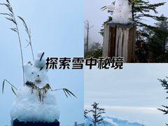 -西岭雪山大飞水景区