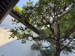 -217丰惠源抓饭(星湖街店)