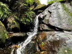 -南山植物园